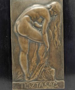 Sződy Szilárd bronz dombormű