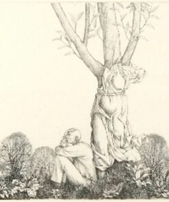 Rékassy Csaba - Metamorphozis II.